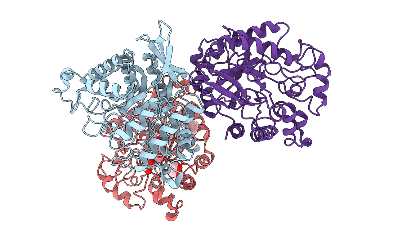 4DM2 image
