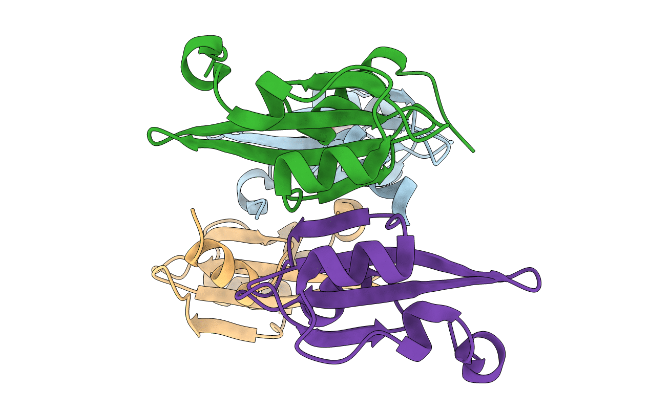 4DM5 image