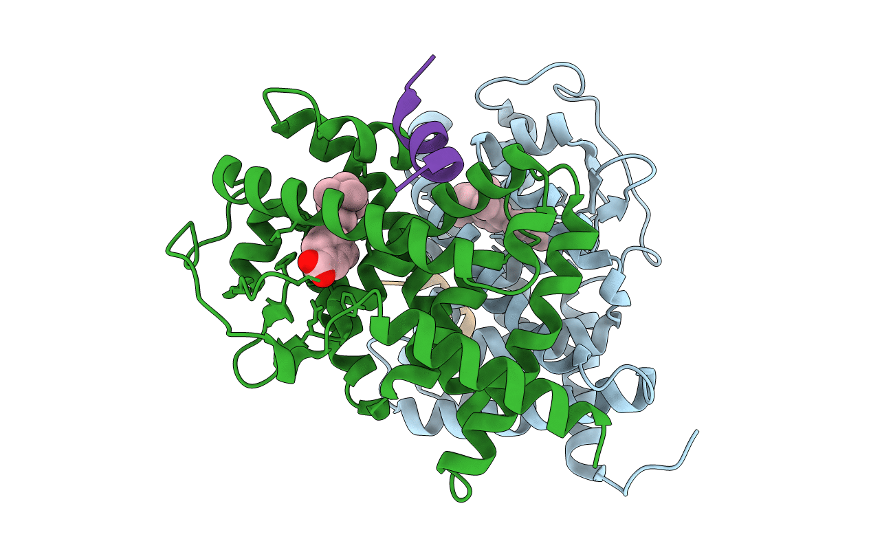 4DM6 image