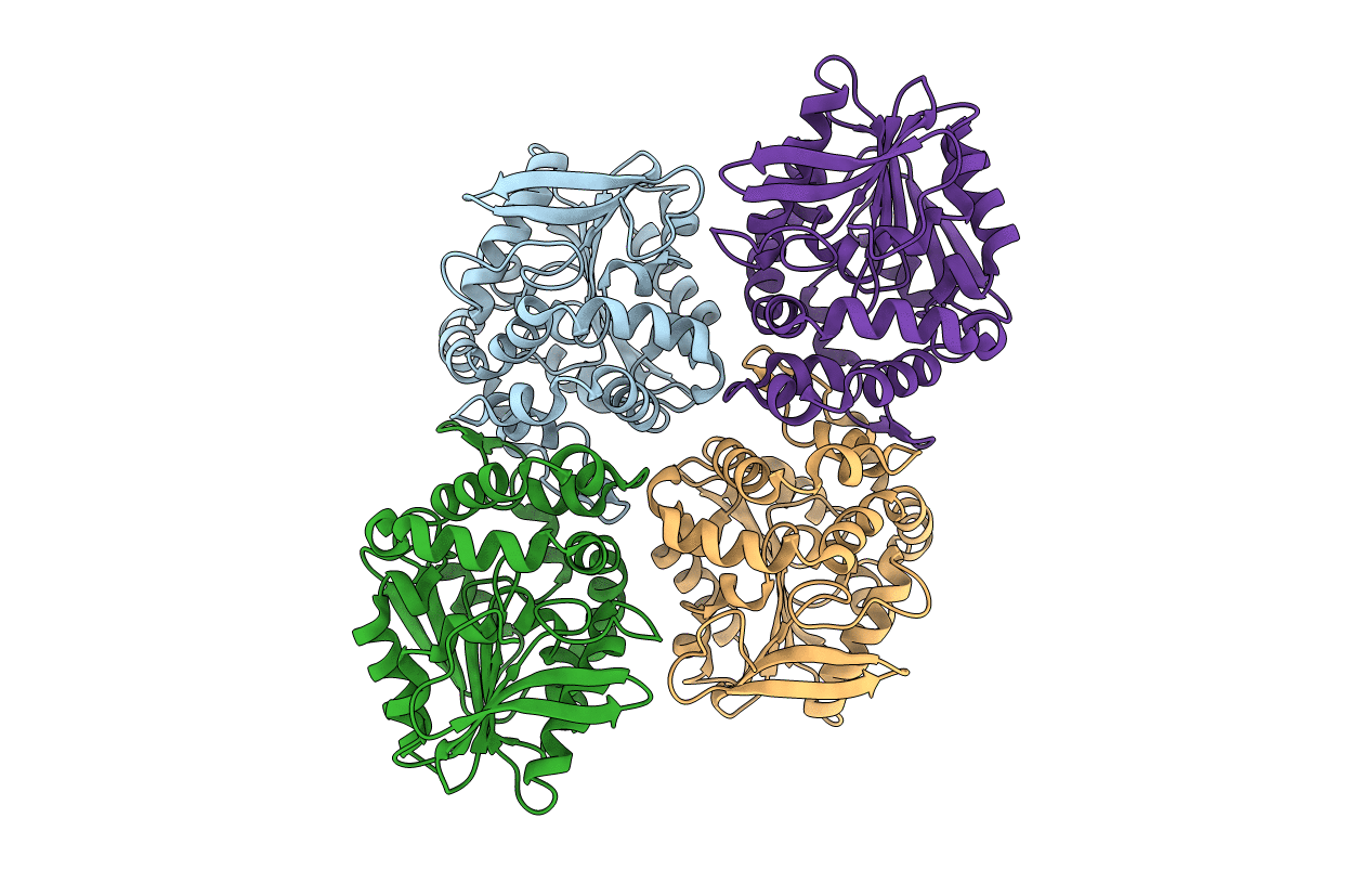 4DM7 image
