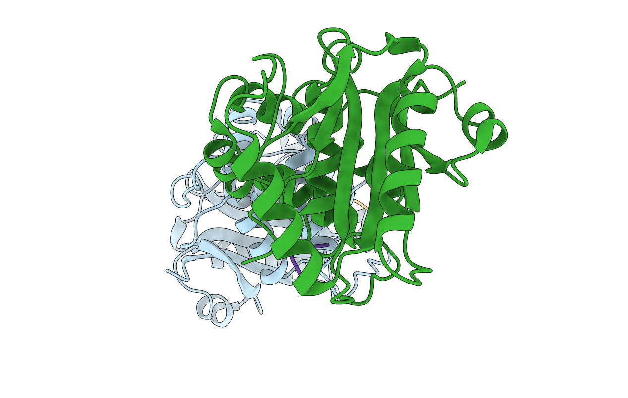 4DM9 image