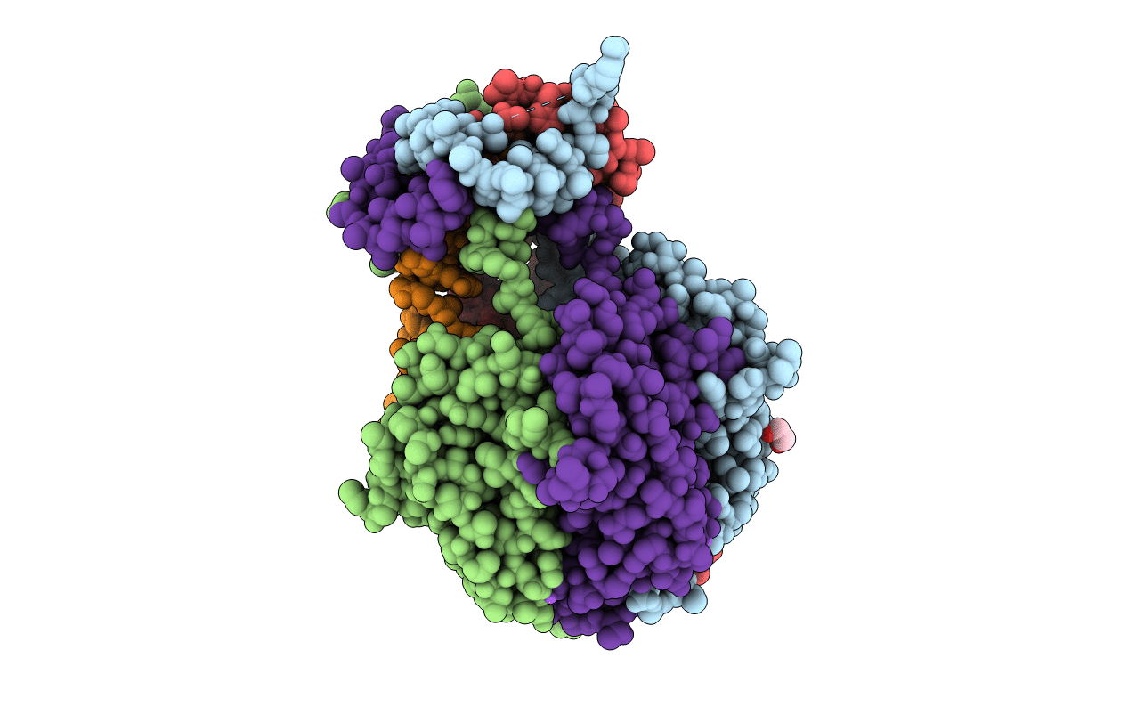 4DMI image