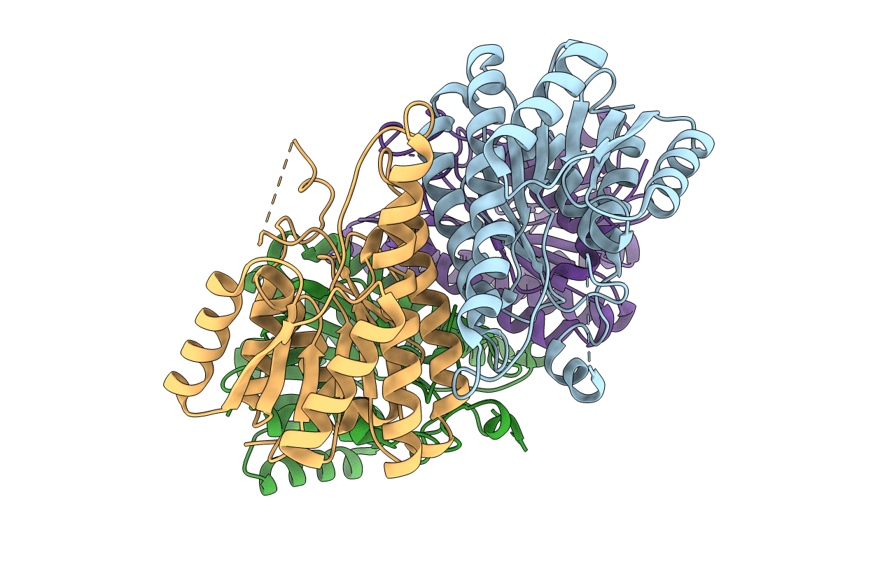 4DML image