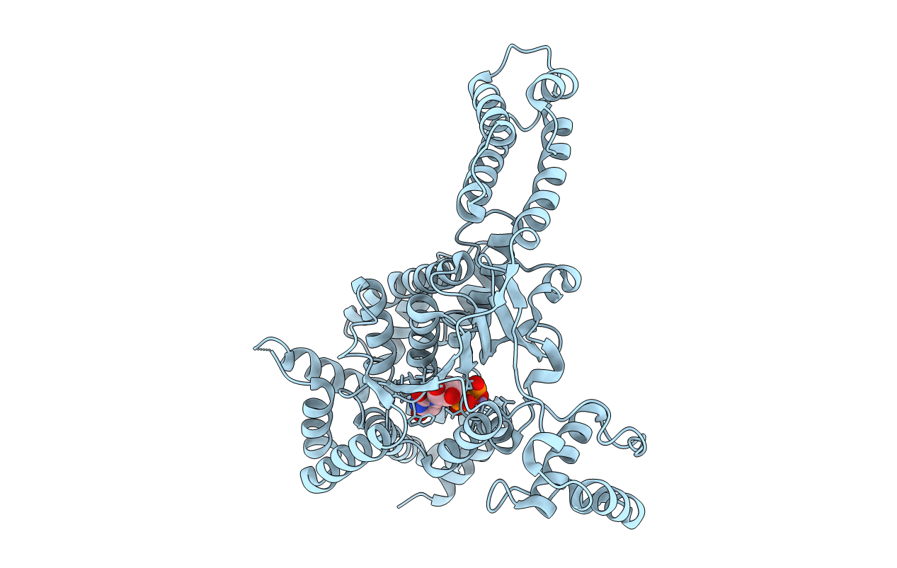 4DMW image