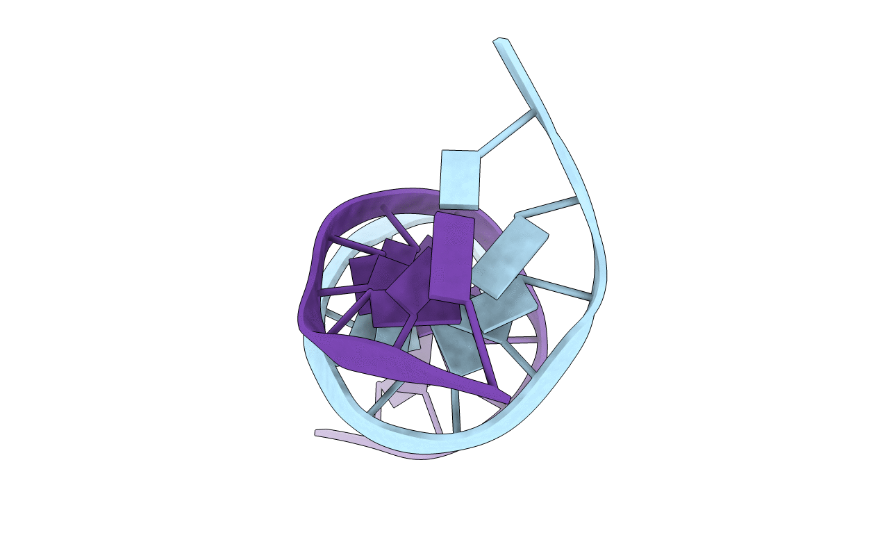 4DNB image