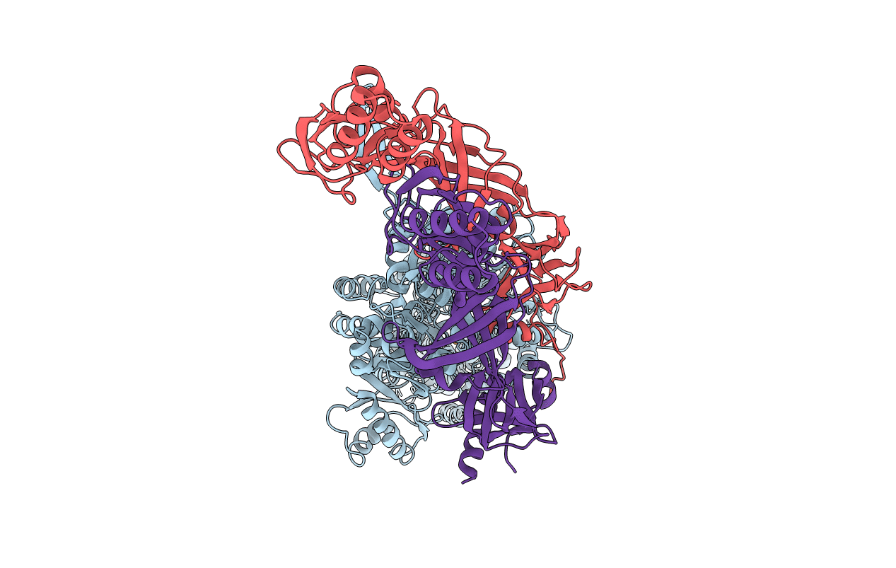 4DNR image