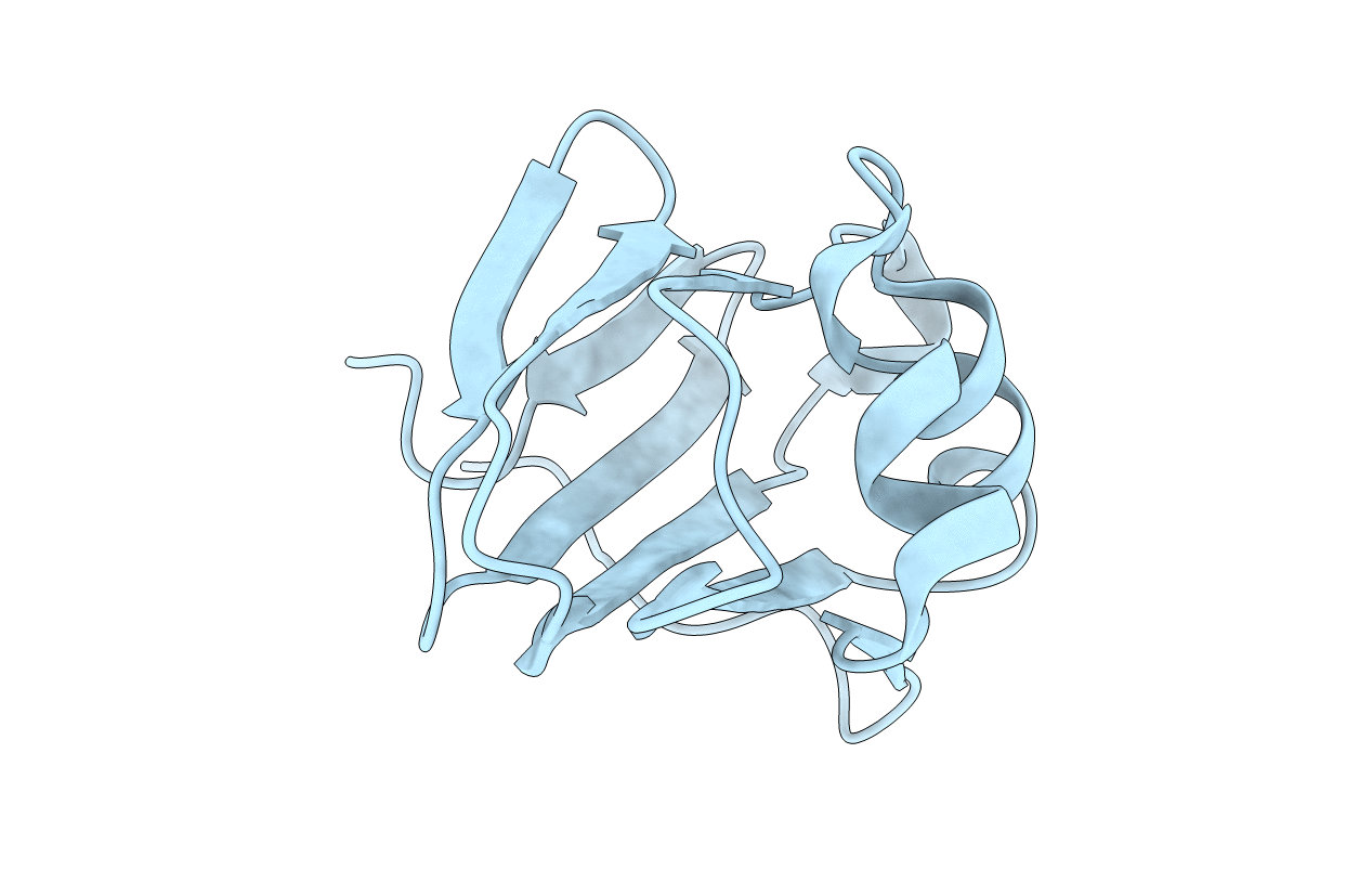 4DNY image