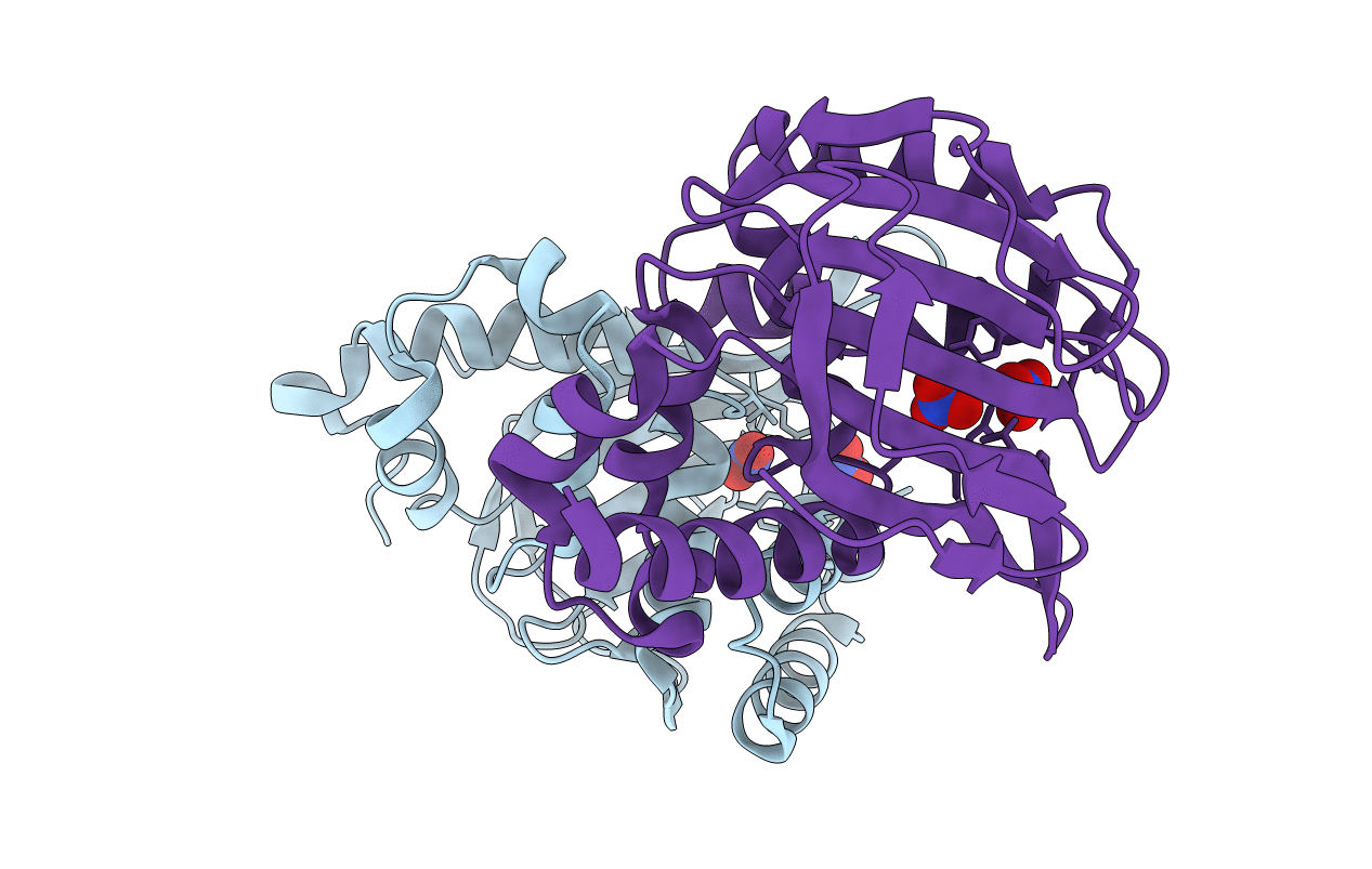 4DOI image