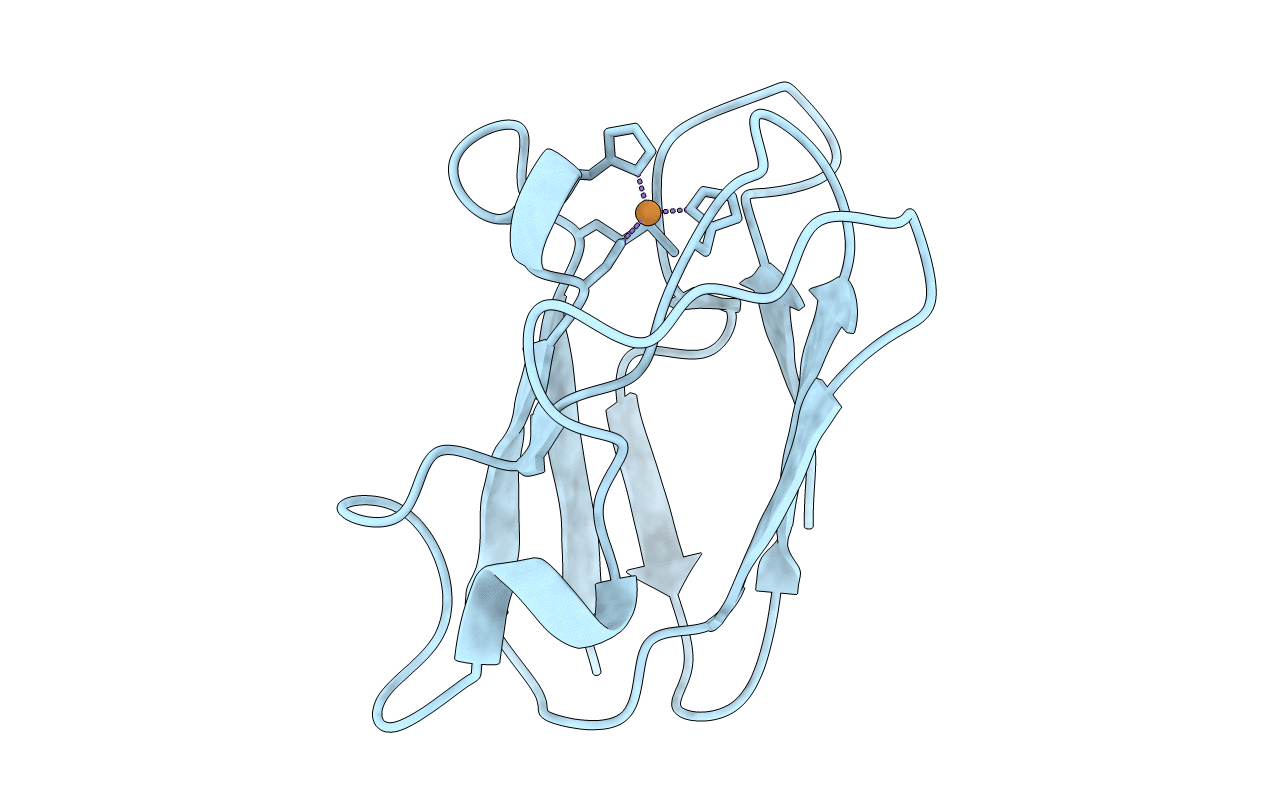 4DPB image