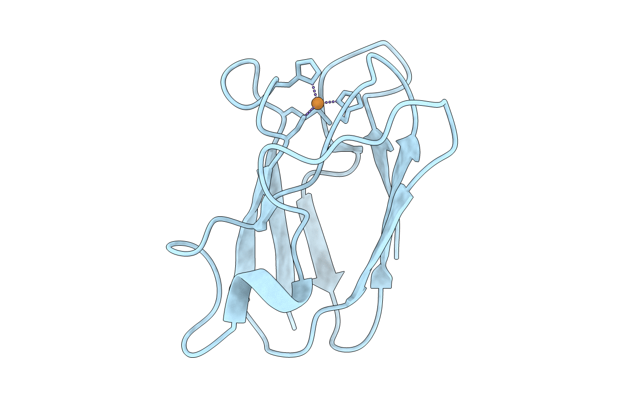 4DPC image