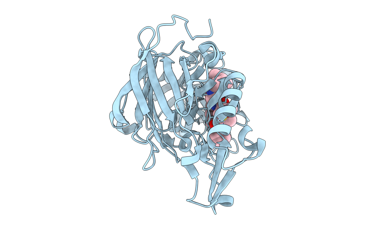 4DPF image