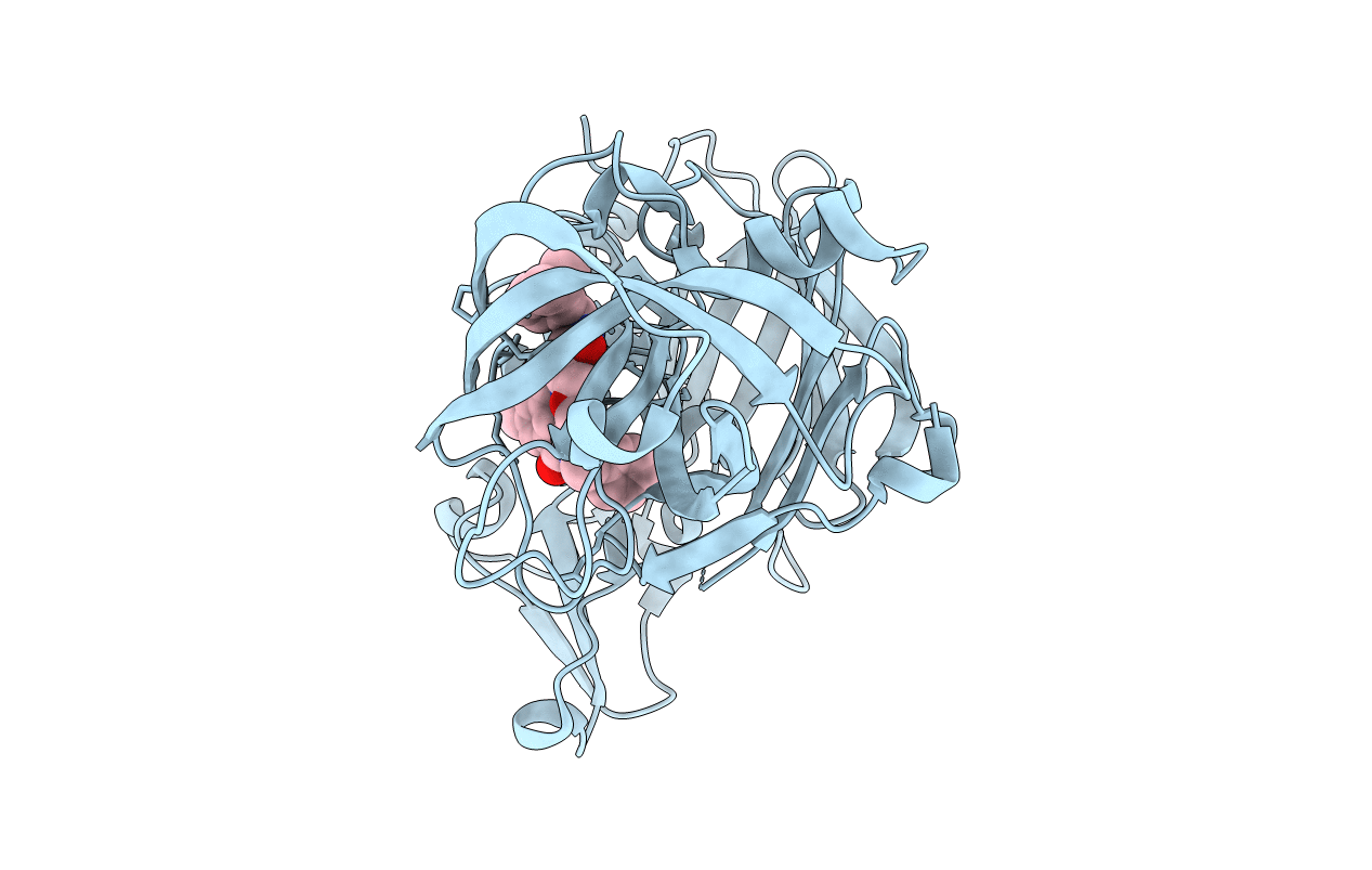 4DPI image