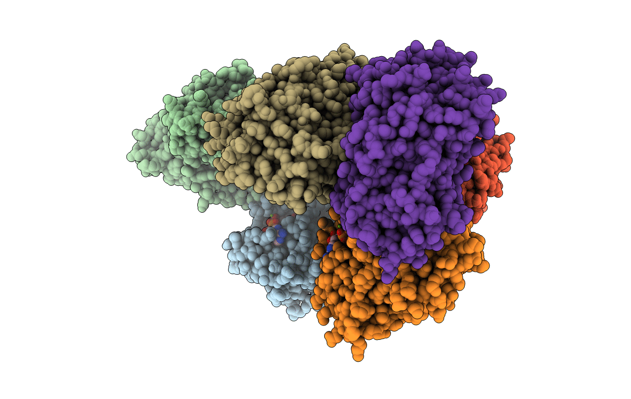 4DPM image