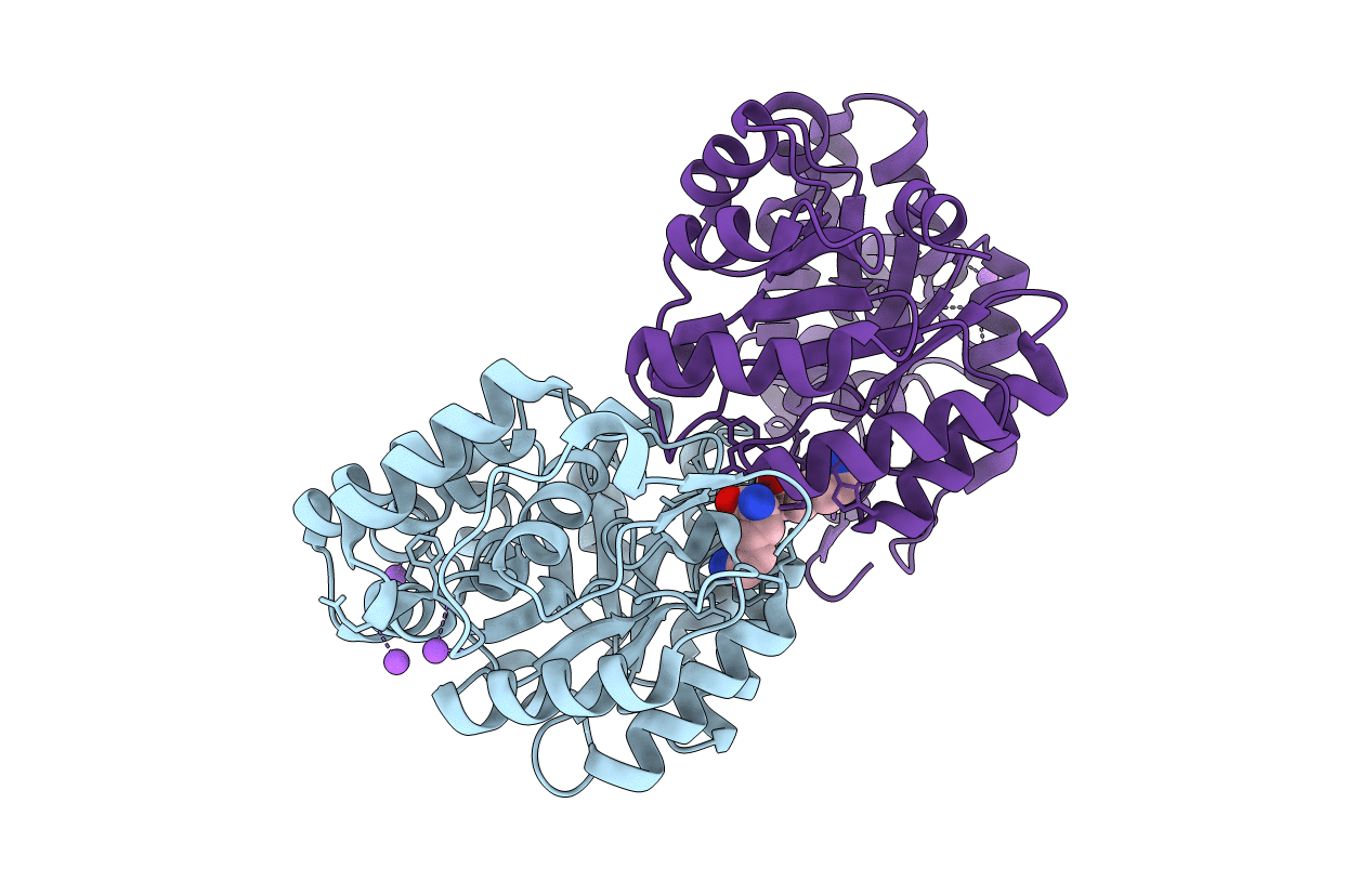 4DPQ image