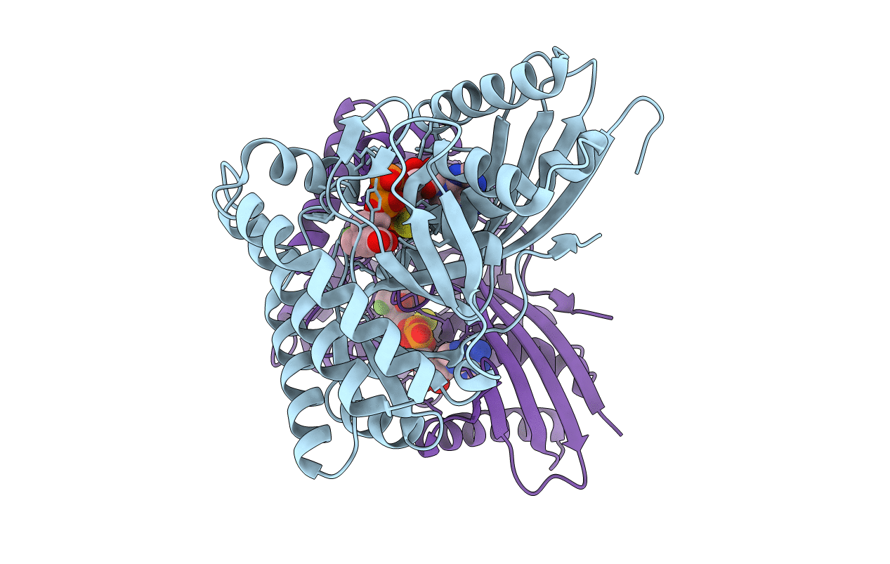 4DPU image