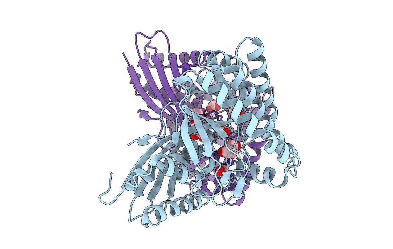 4DPX image
