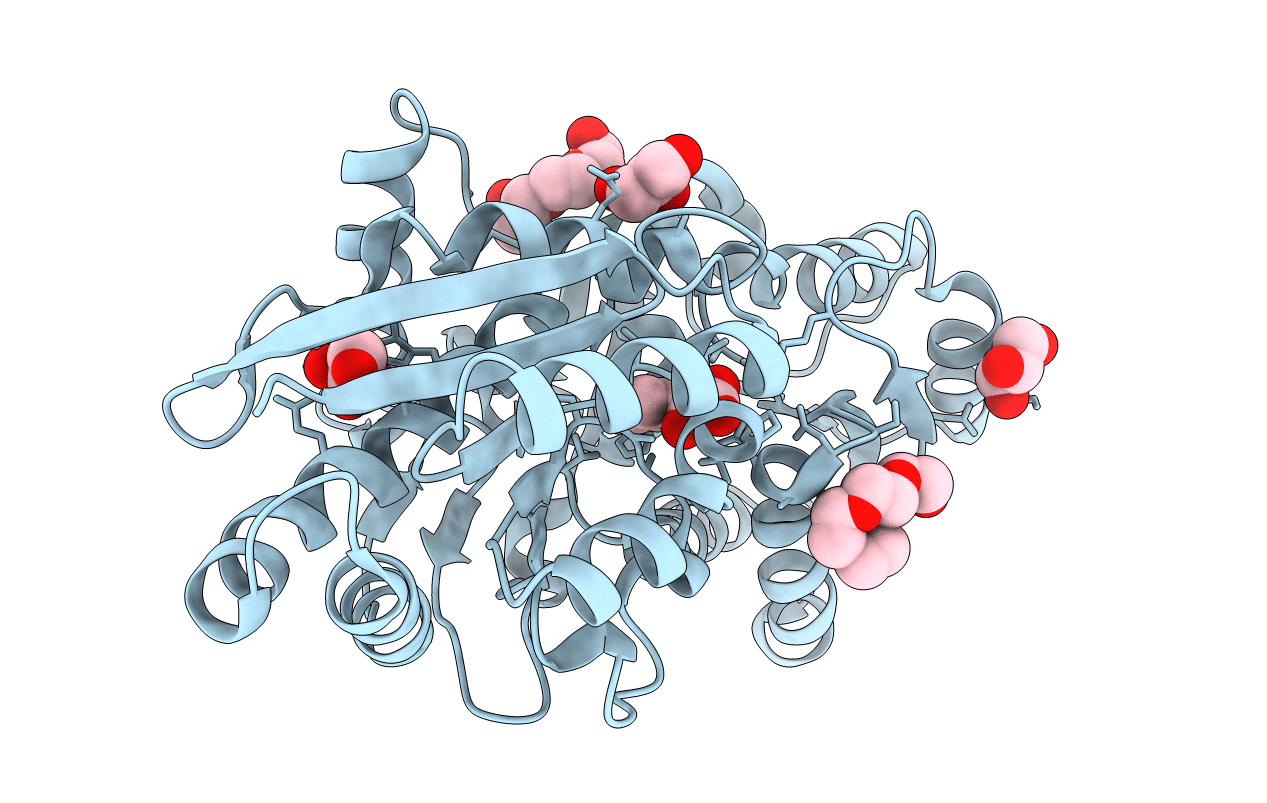 4DQD image