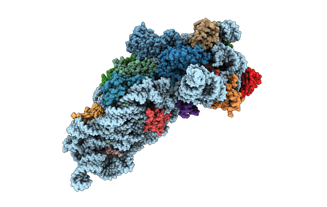 4DR5 image