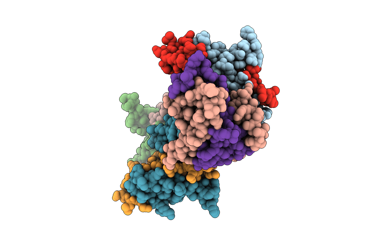 4DRA image