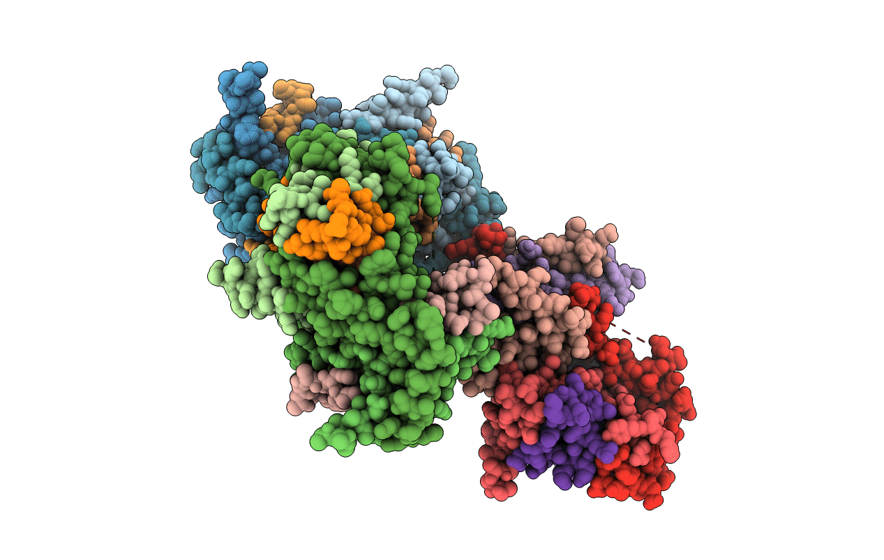 4DRB image