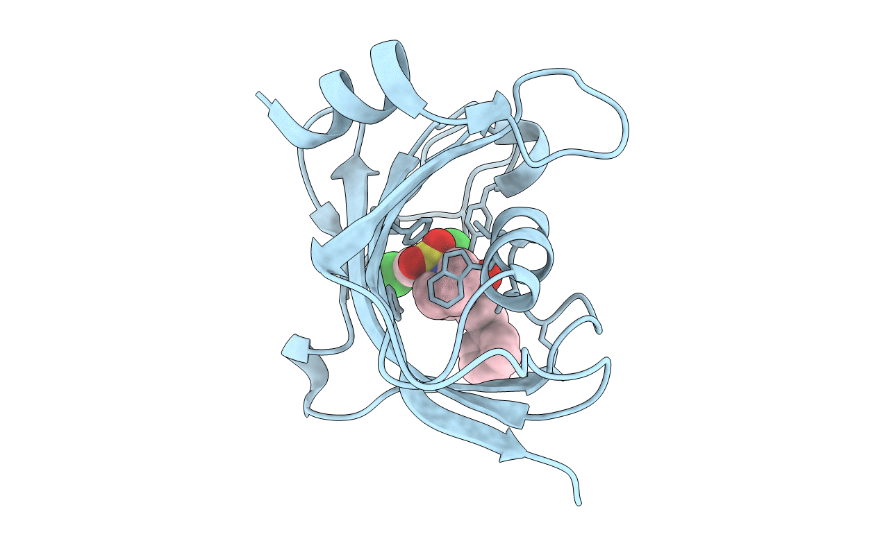 4DRQ image