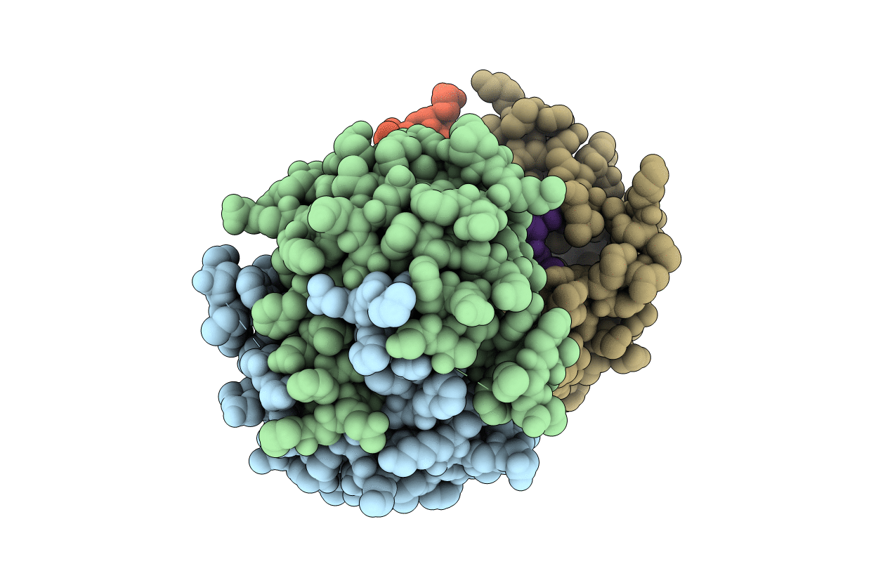 4DRW image