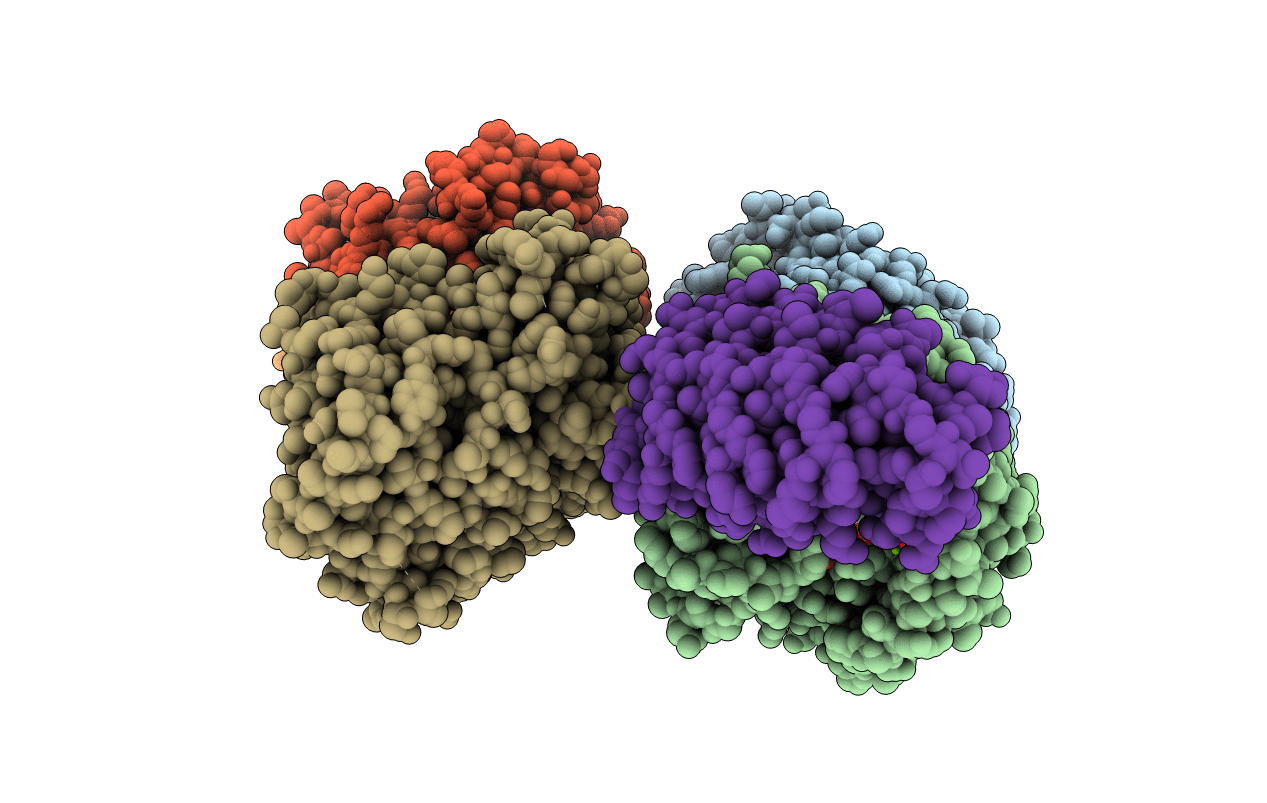 4DRX image