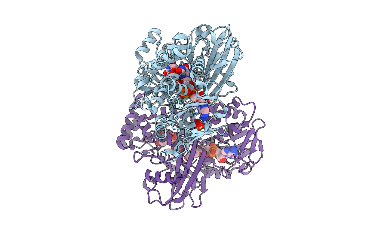 4DSG image