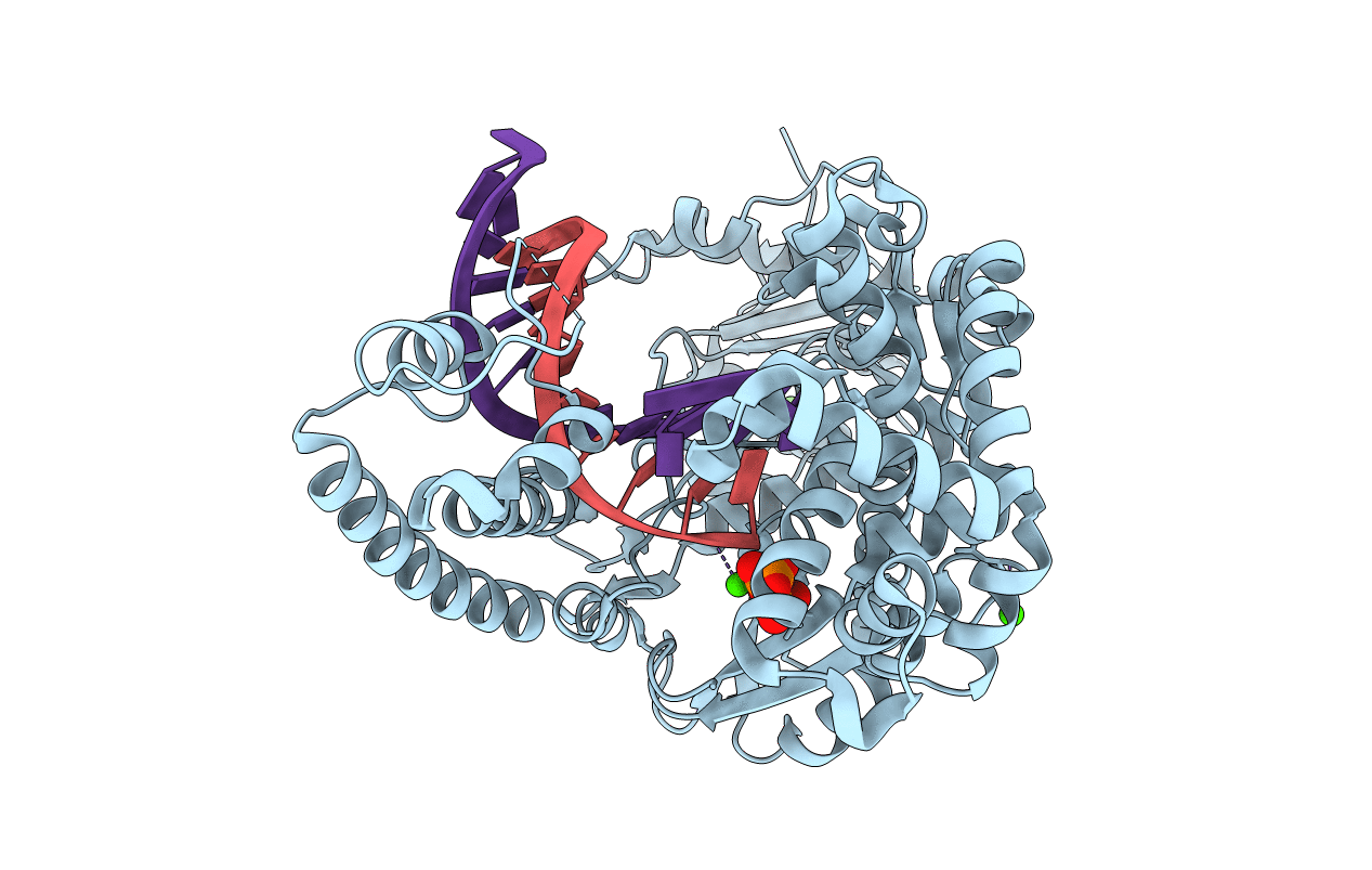 4dsk image