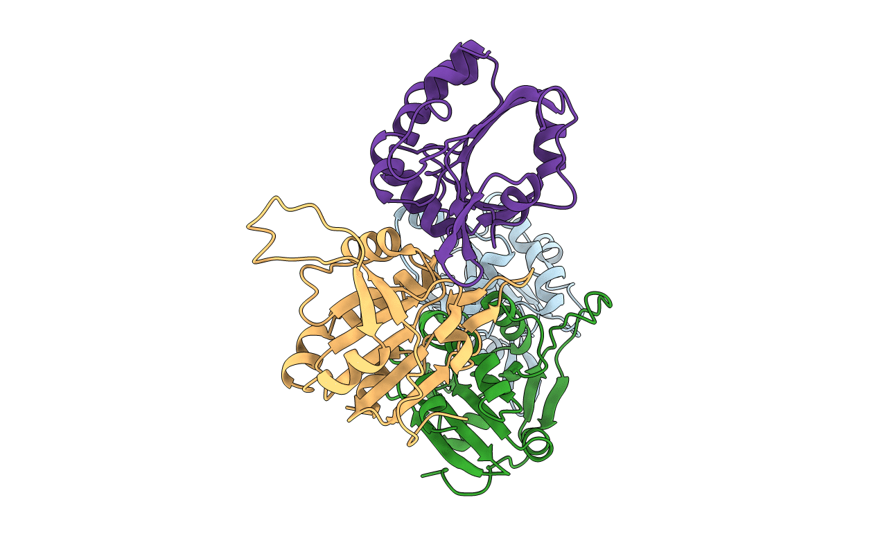 4DSR image