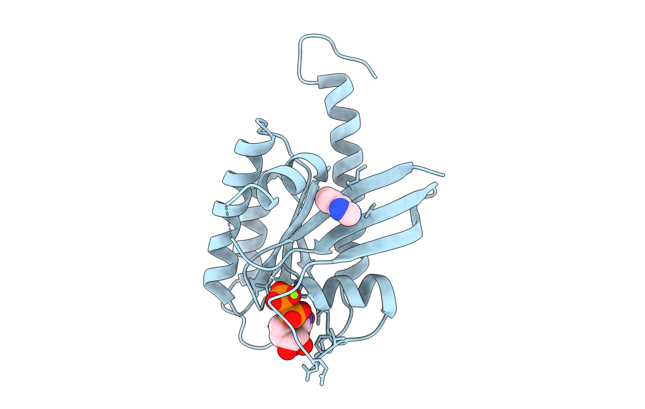 4DSU image