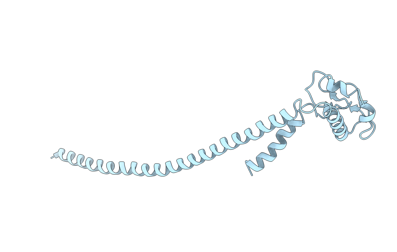 4DT0 image