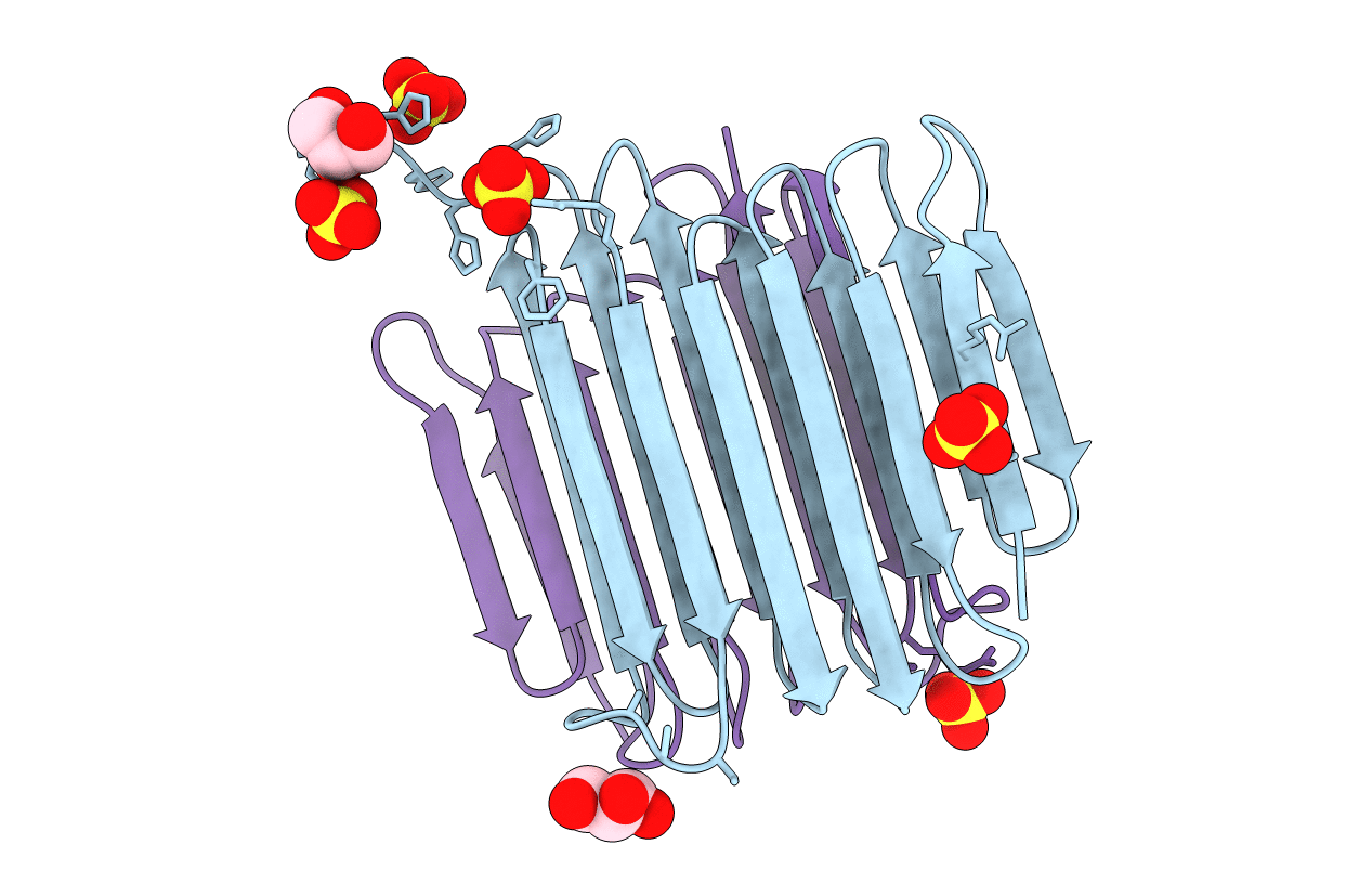 4DT5 image
