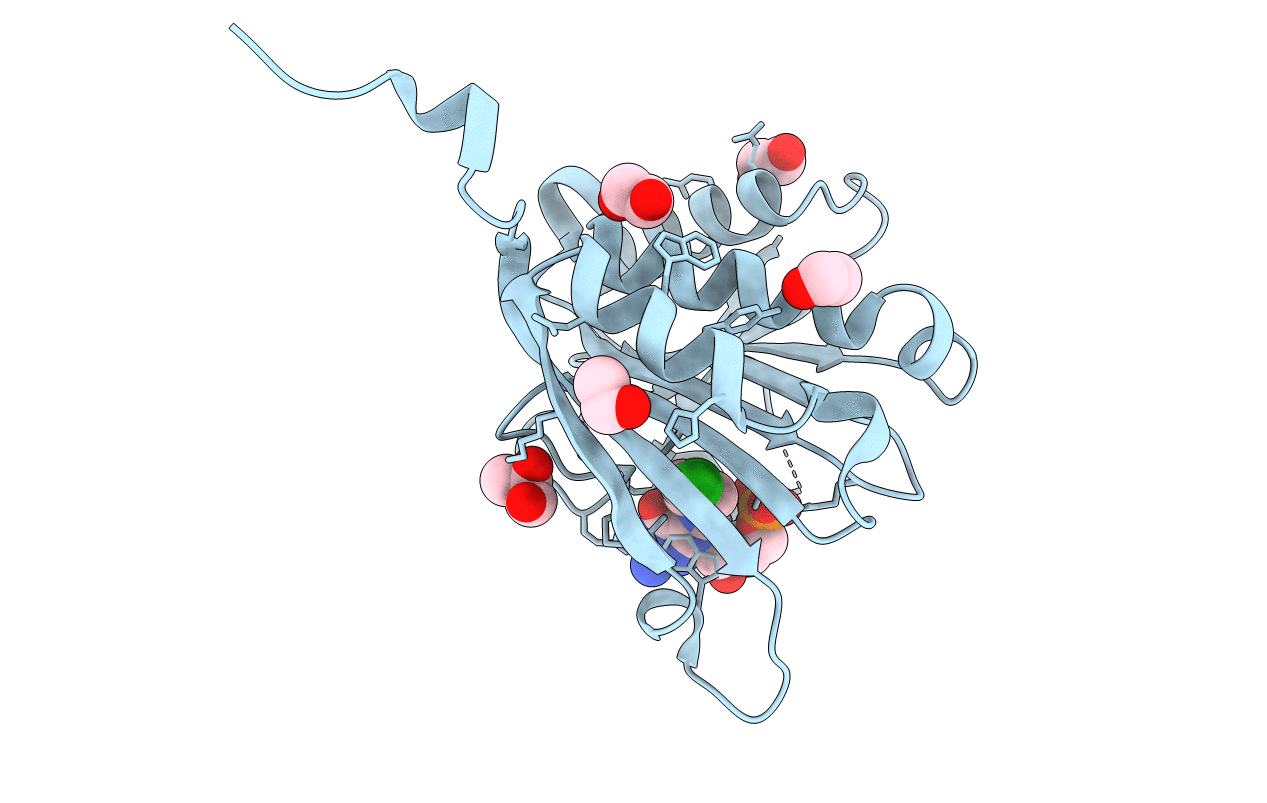 4DT6 image