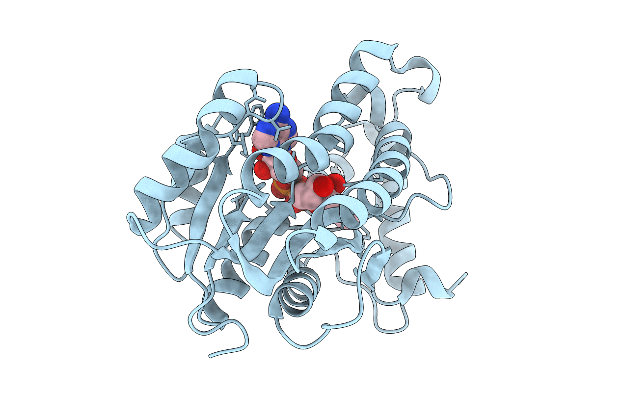4DTI image