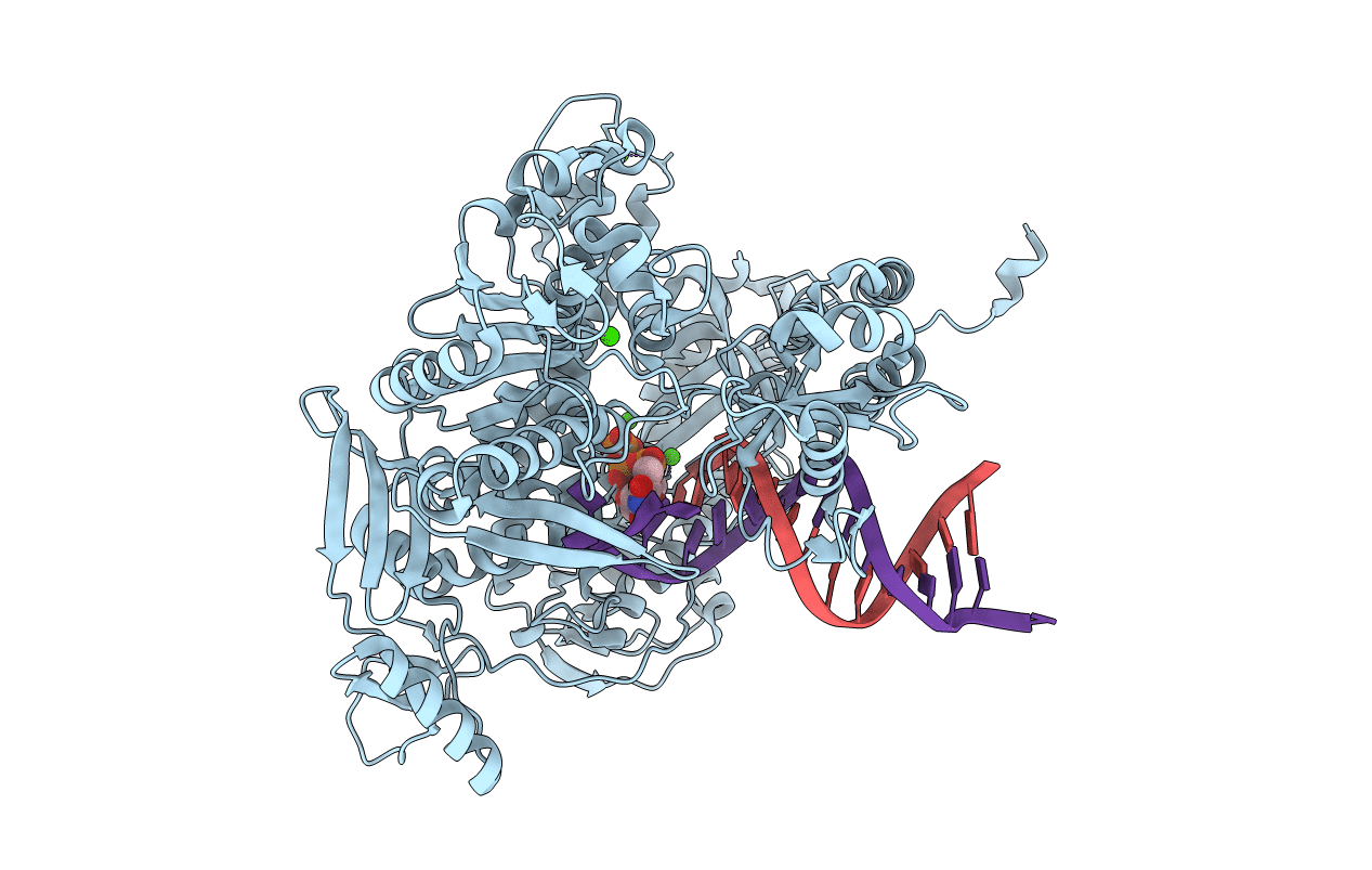 4DTJ image