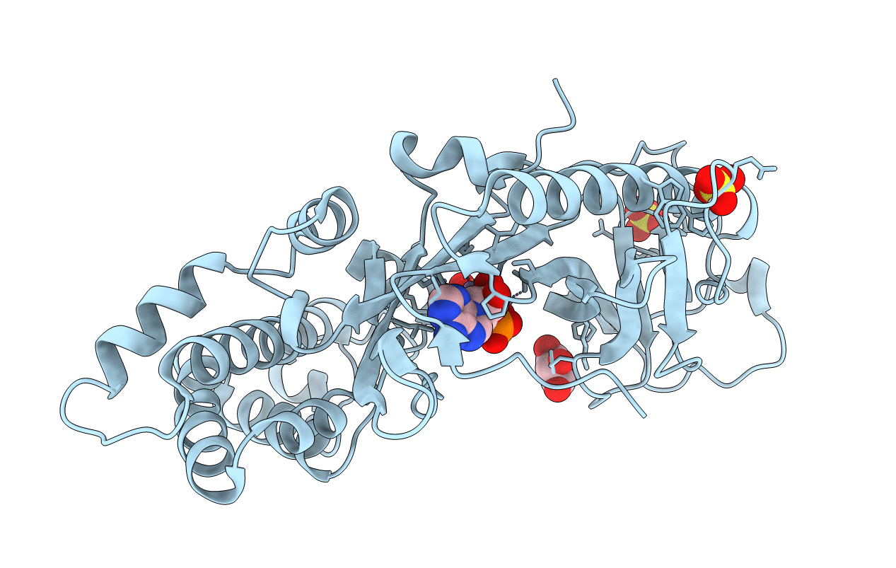 4DTL image