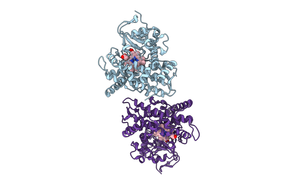 4DUC image