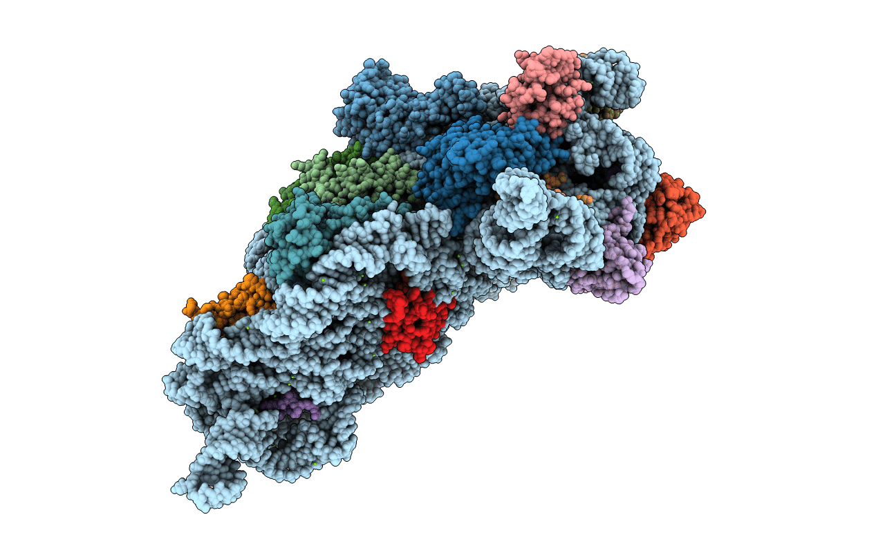 4DV1 image