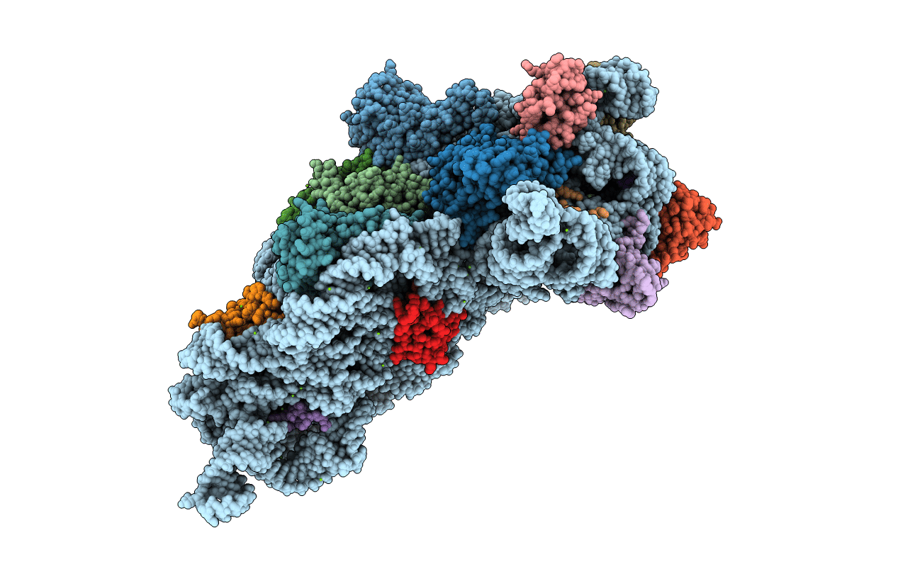 4DV5 image
