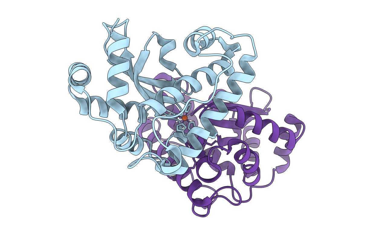 4DVH image