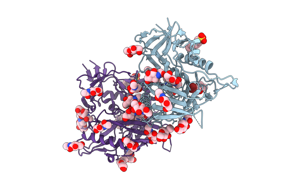 4DVS image