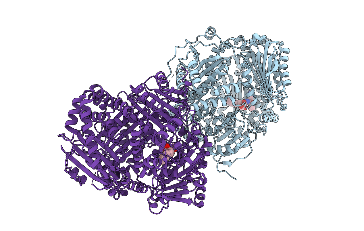 4DWK image
