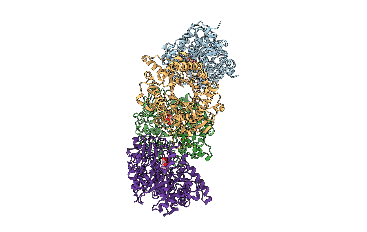 4DWS image