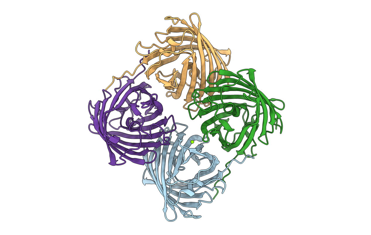 4DXI image