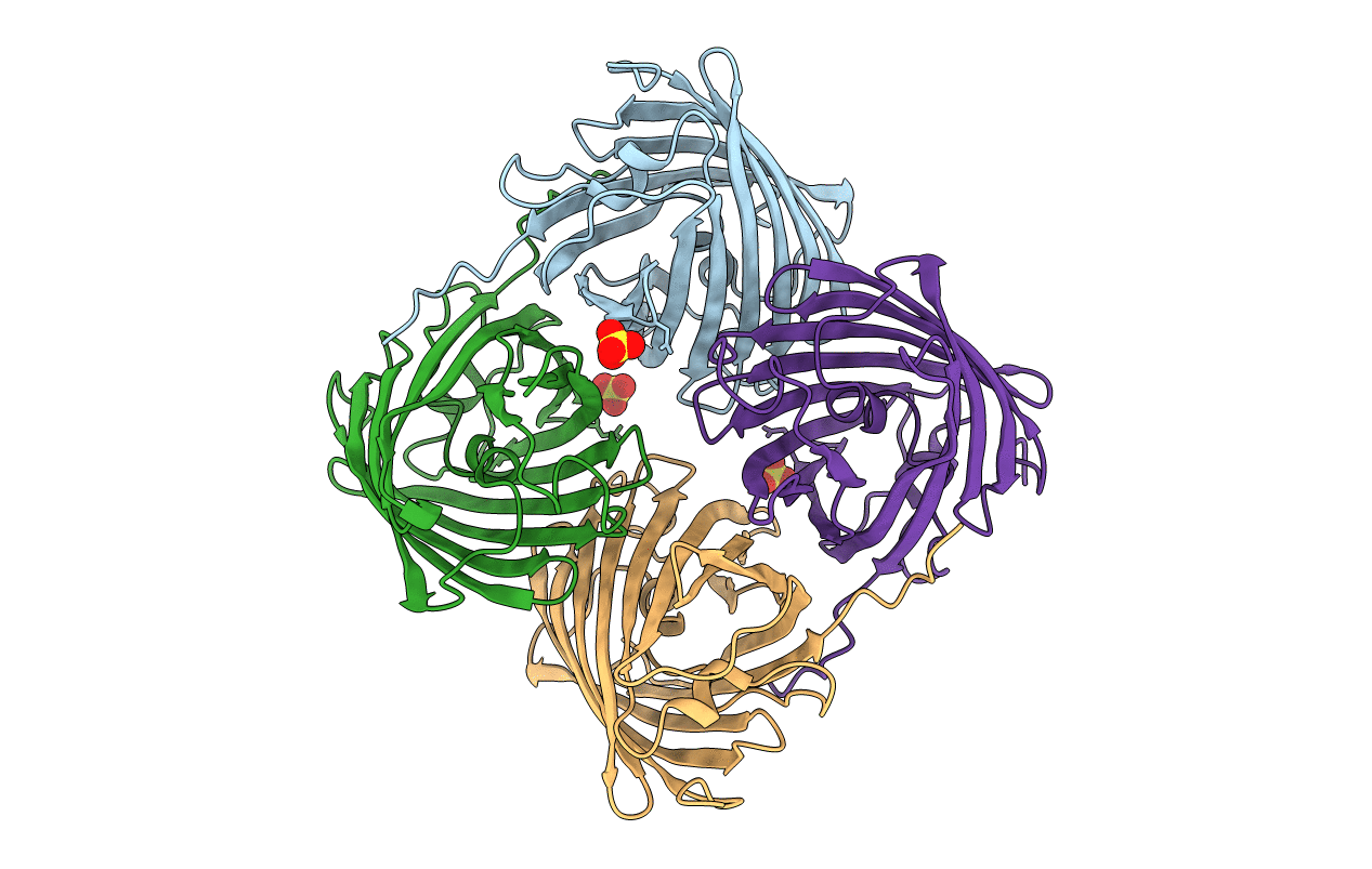 4DXM image