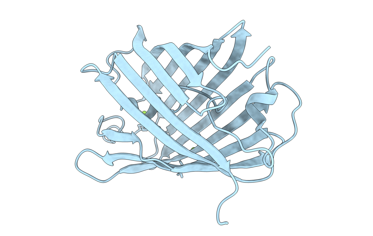 4DXP image