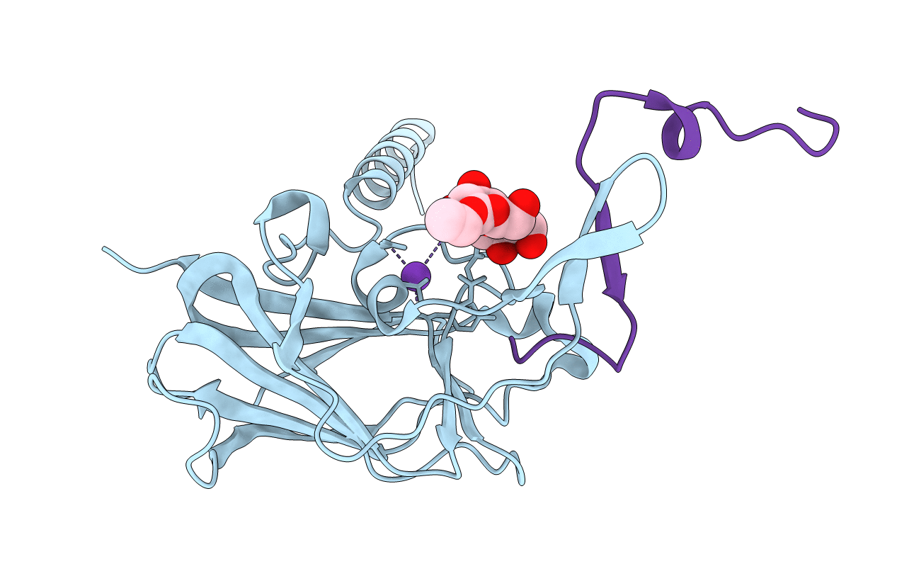 4DXS image