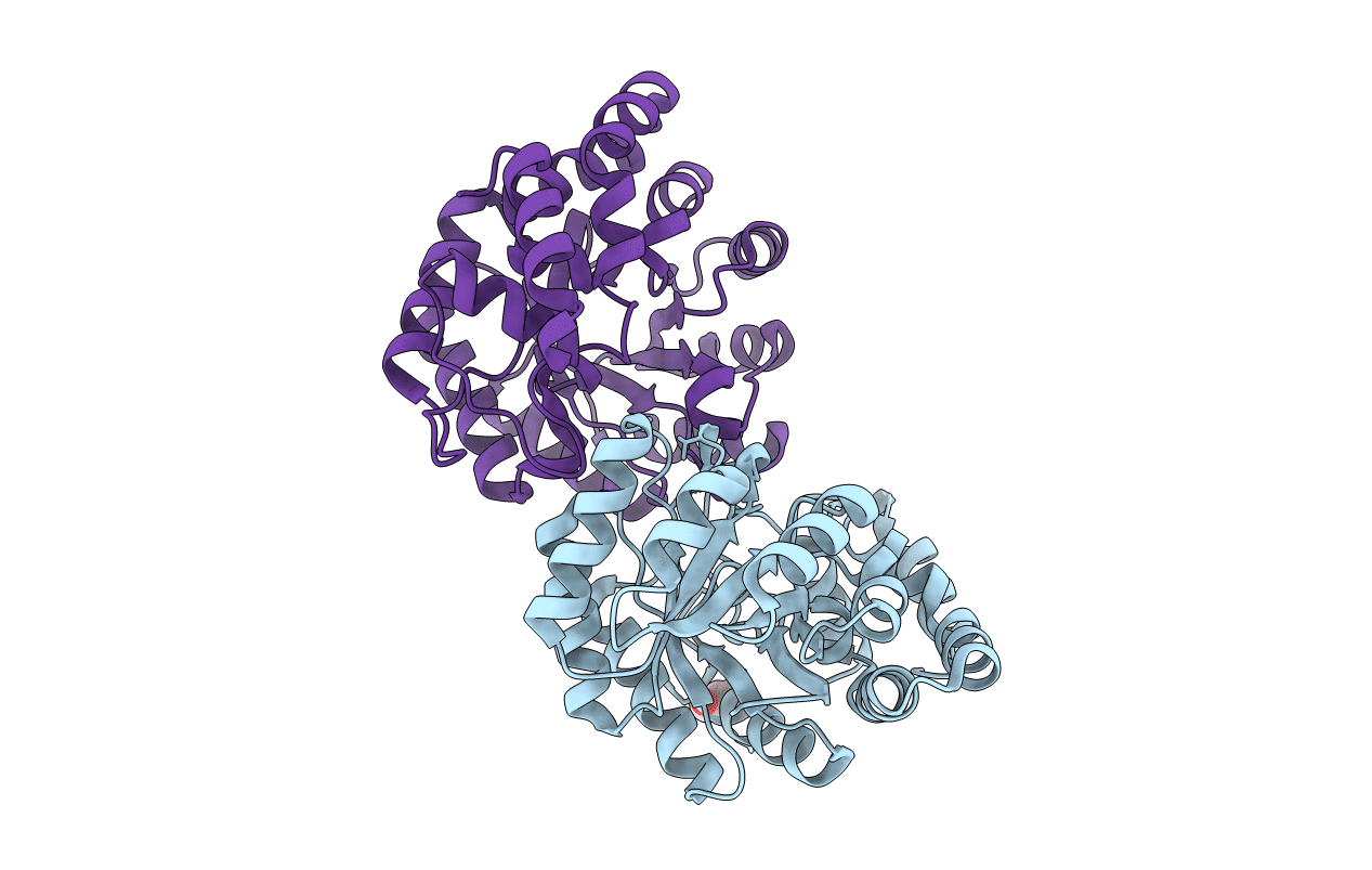 4DXV image