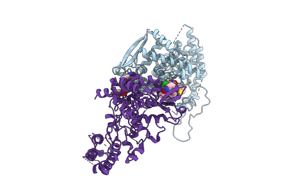 4DYB image